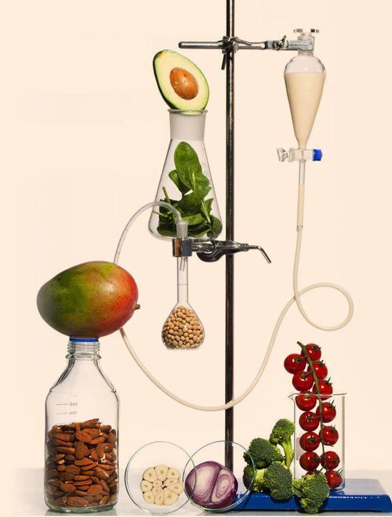 Démystifier la nutrition et les régimes : comprendre avant de suivre